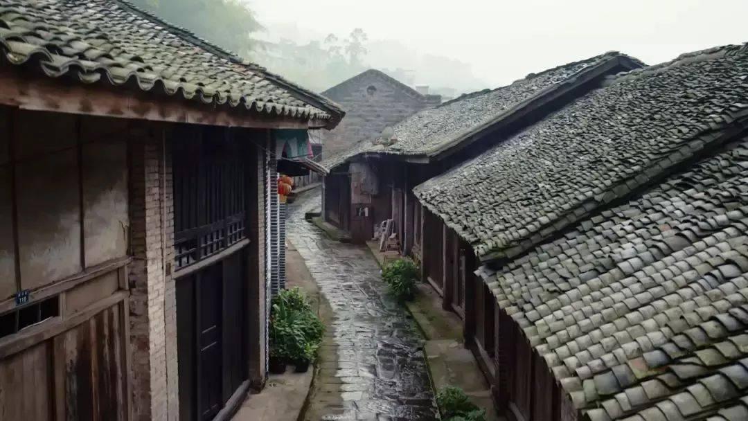人活着到底是为了什么？游戏画面